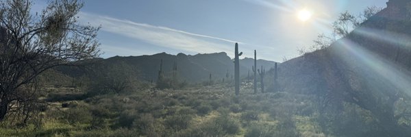 HarlemJ11 Profile Banner