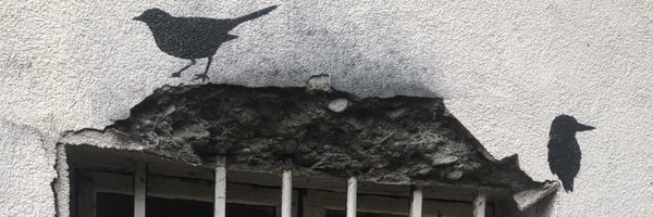 galderperez Profile Banner