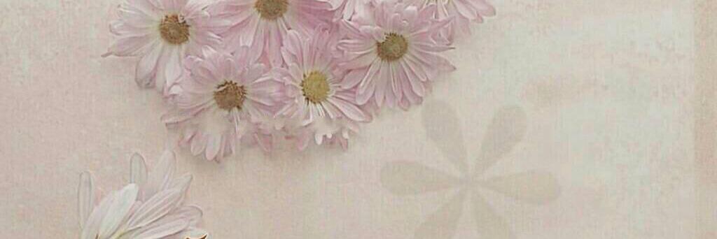 alsh6642's profile banner image