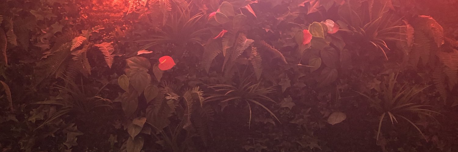 MISSNOTICE's profile banner image