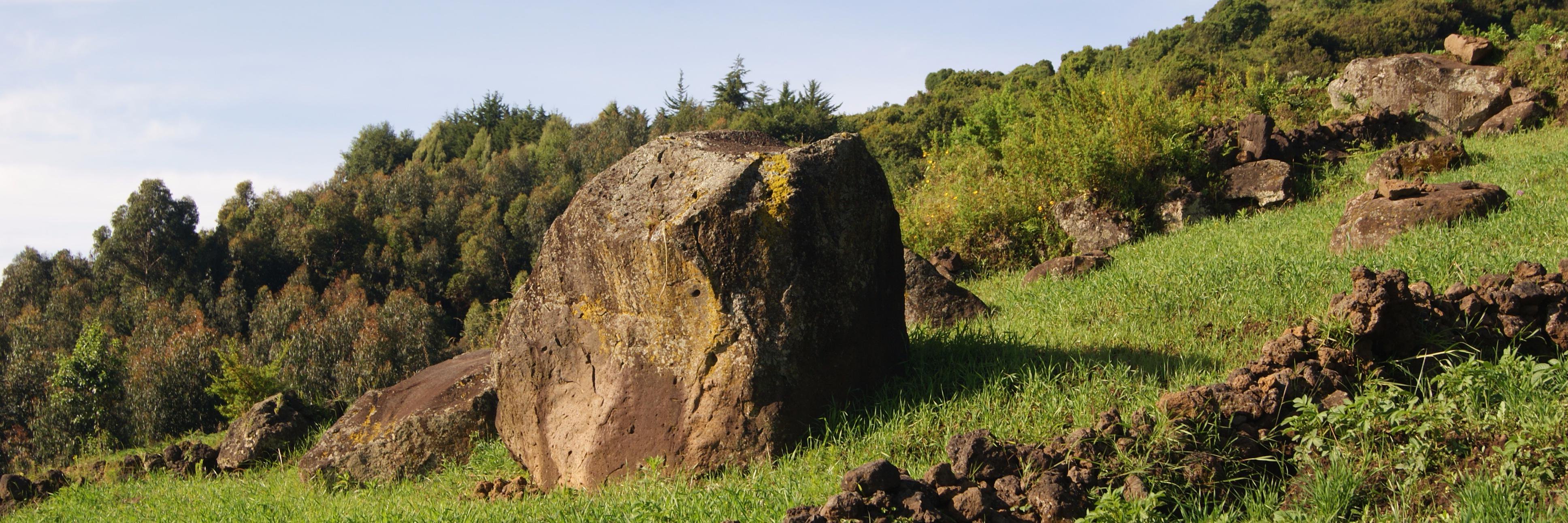 Segond Fidens IRAGENA banner