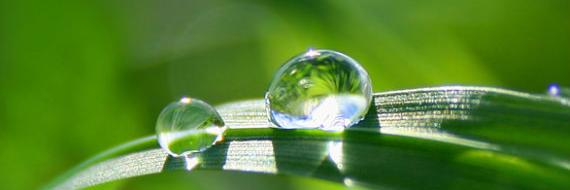 Avinash Sanap banner