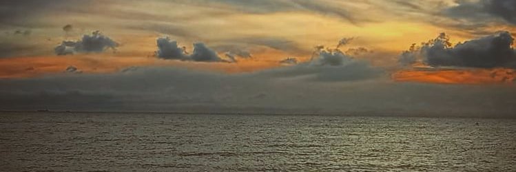 trini437's profile banner image