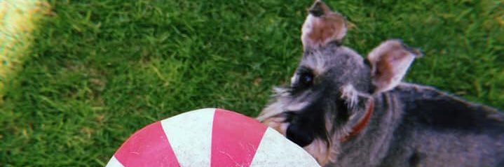 MichelleMolinna's profile banner image