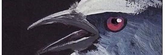 OnyxCross's profile banner image