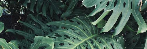 hydratingly's profile banner image
