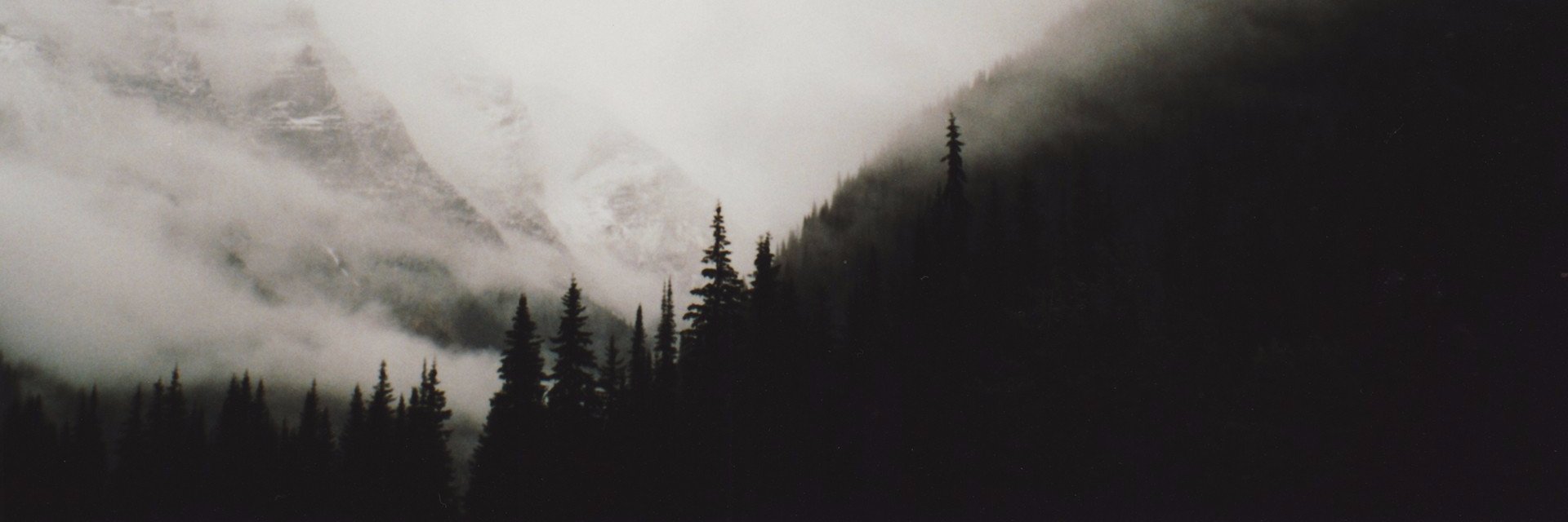 vladbasin's profile banner image