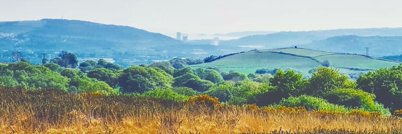 Mari_Lanch's profile banner image