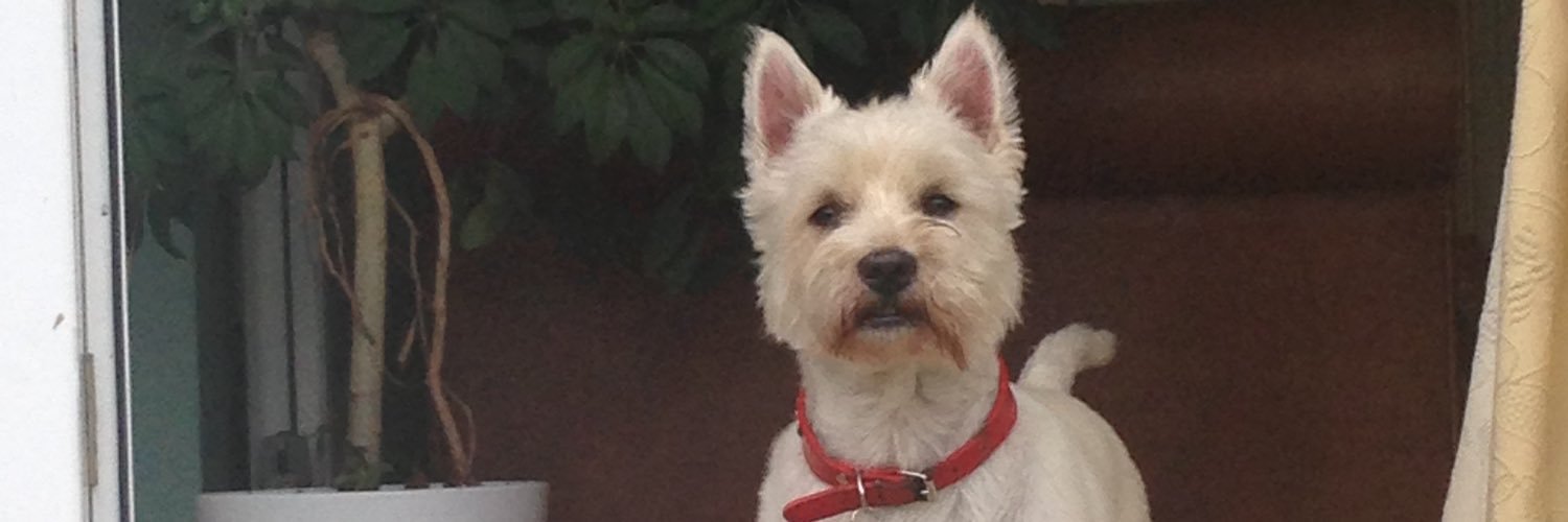 Bobby Watson RIP Busby Watson, Archie, Winston ❤️ banner