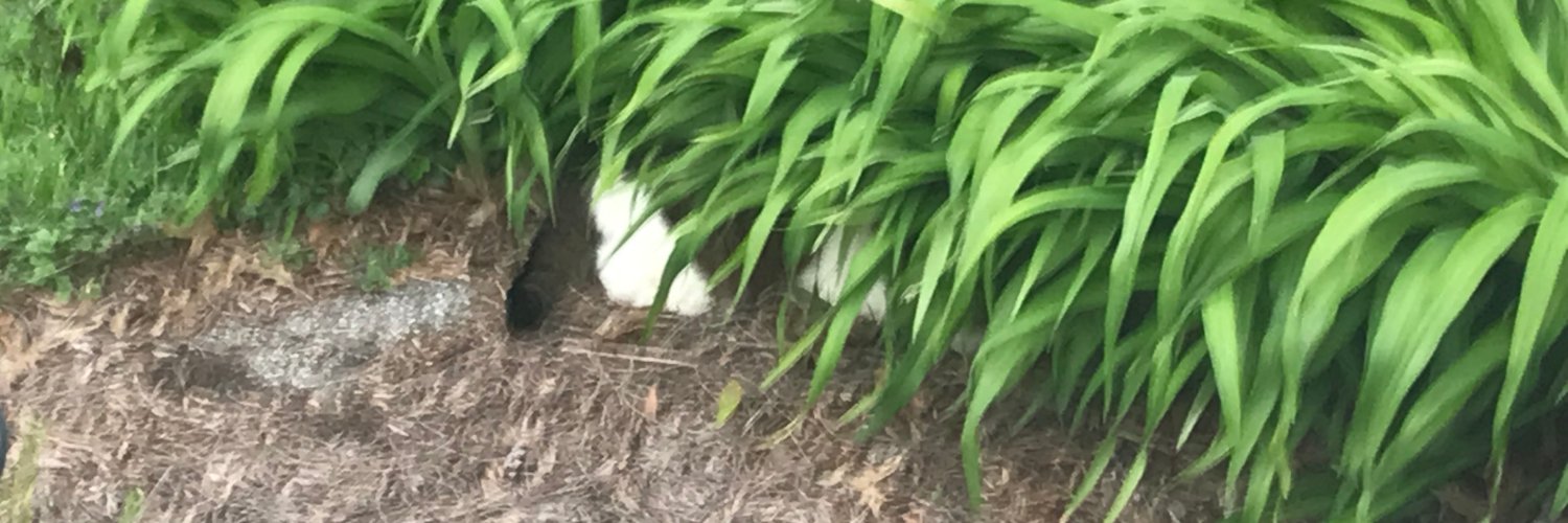 johnwright54's profile banner image