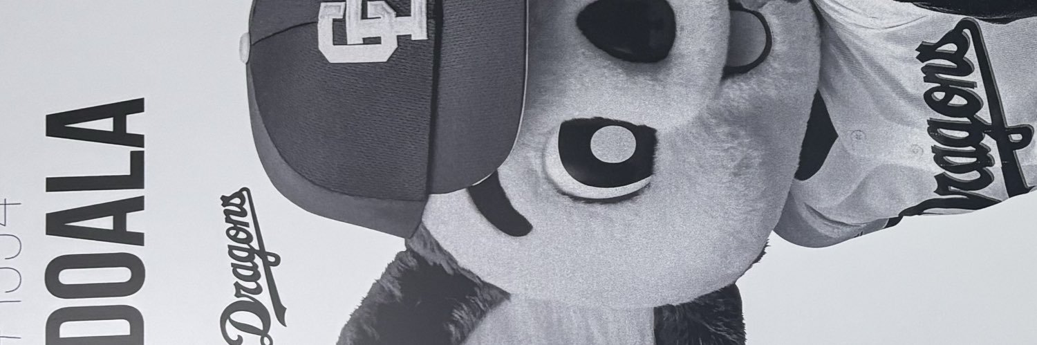 Minami banner