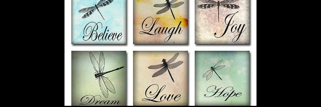 mtvs_xo's profile banner image