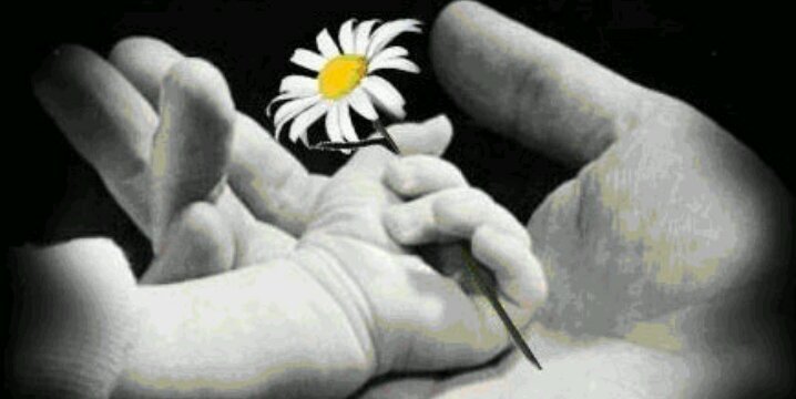 Dervisan_D's profile banner image