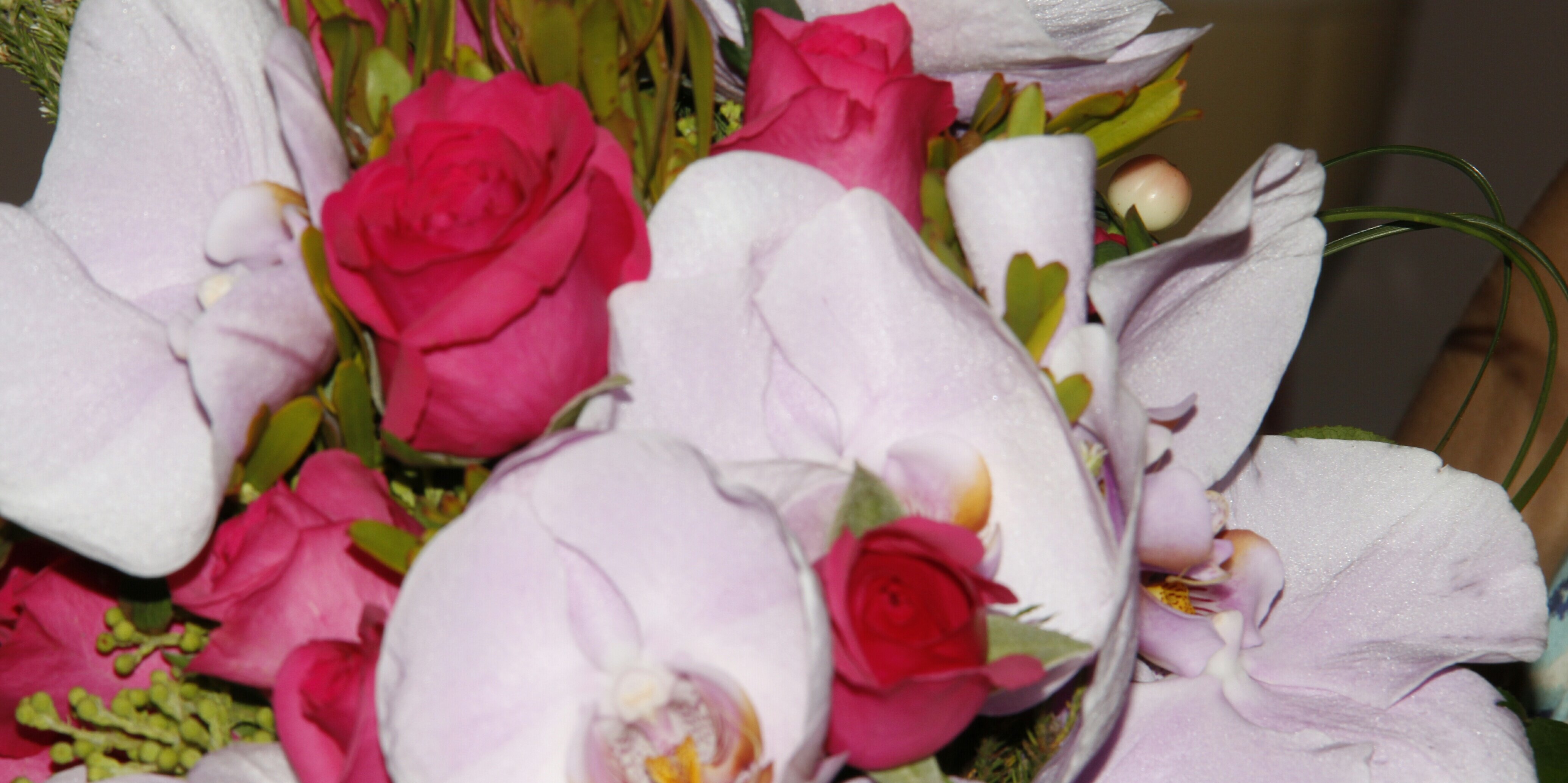 veropa80's profile banner image