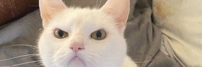 o8rivs's profile banner image