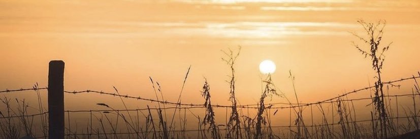 TimWilliton's profile banner image