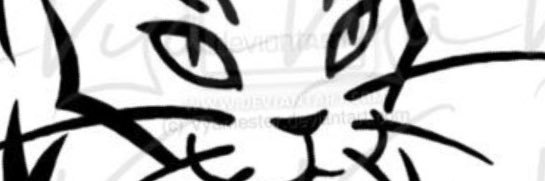 Susanaileenjon1's profile banner image