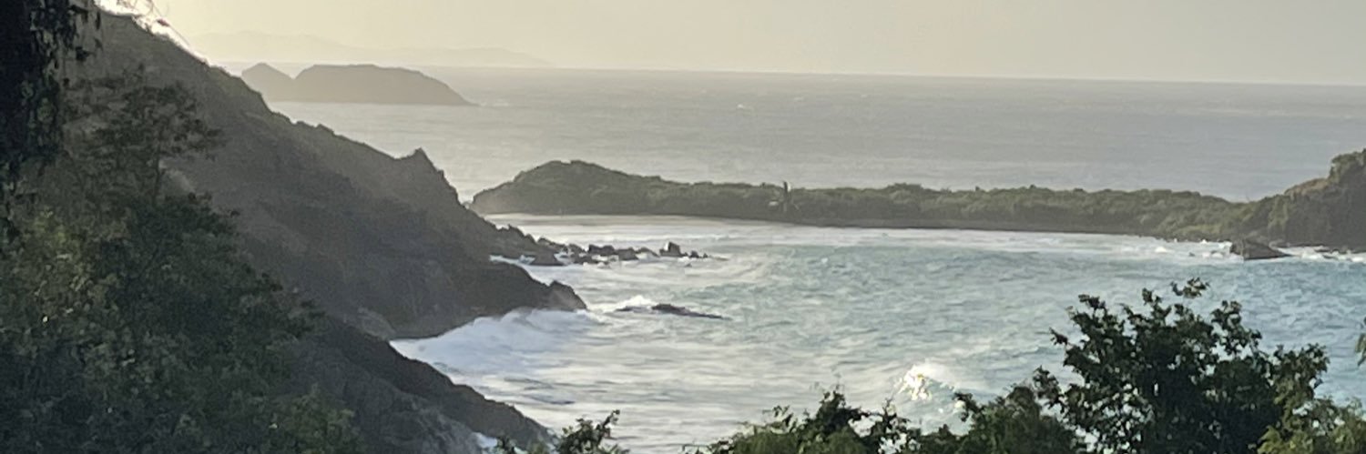 🇻🇮JQ🌴 banner