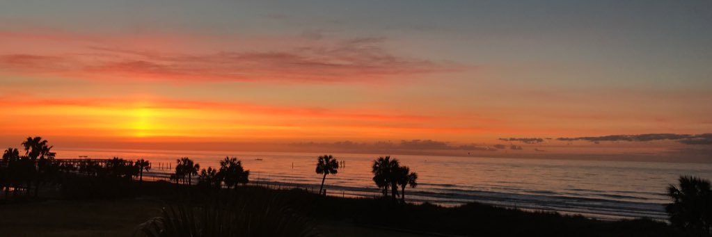 sand_gnat's profile banner image