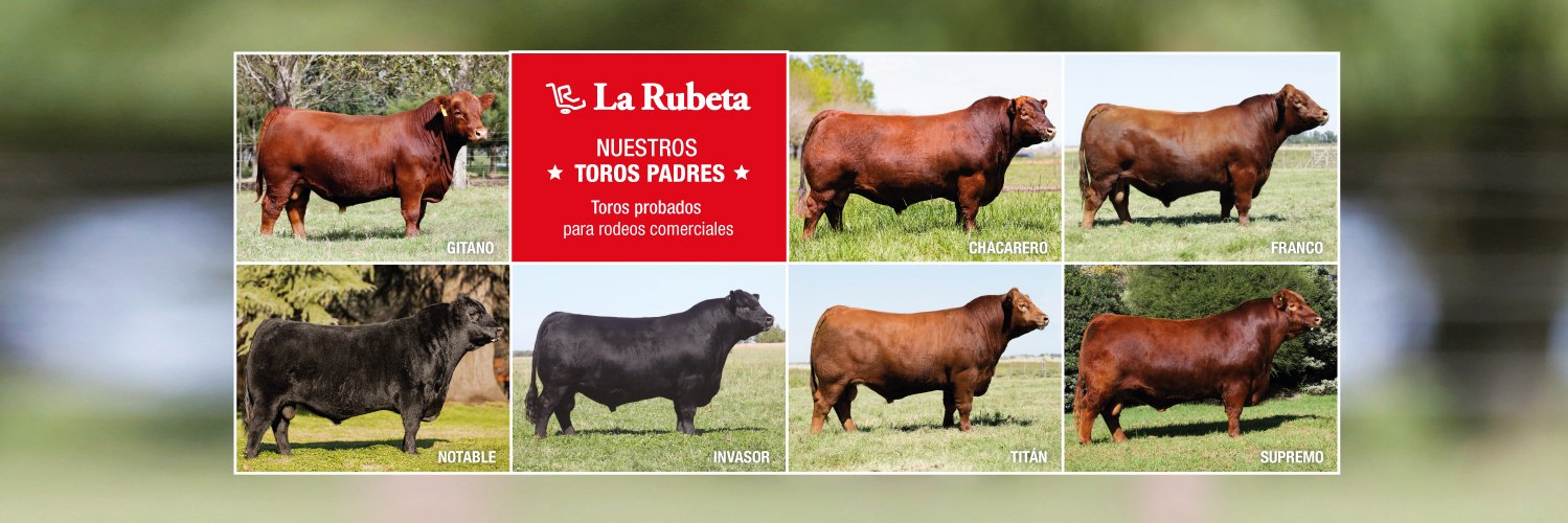 larubetaangus's profile banner image