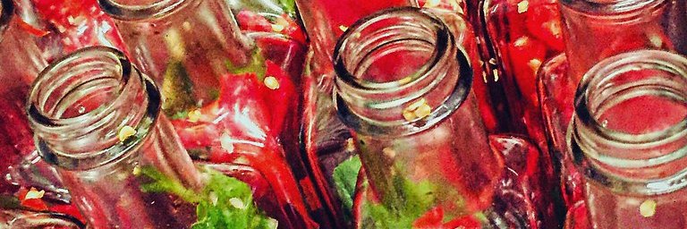 Hot Sauce Fever banner