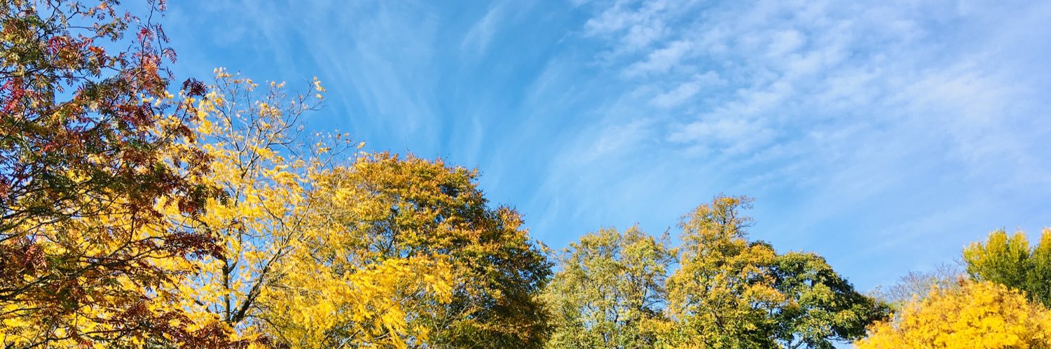 Michelle Jarrett banner