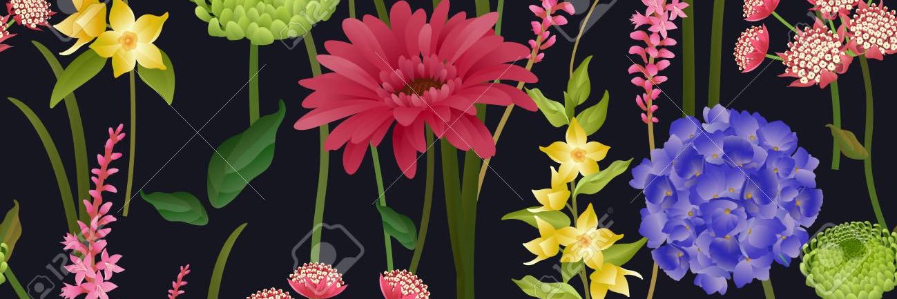 dixerella's profile banner image