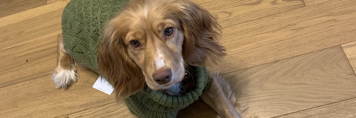 Hannah banner