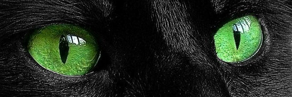 Doc_Rushe's profile banner image