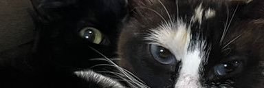 azzdud's profile banner image
