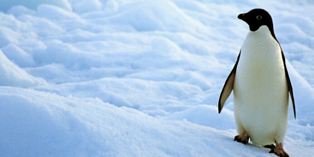 AlbaExpsito's profile banner image
