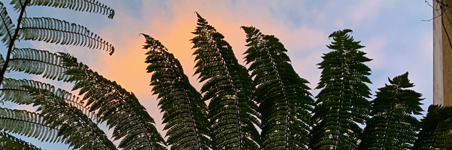 ldruizf's profile banner image