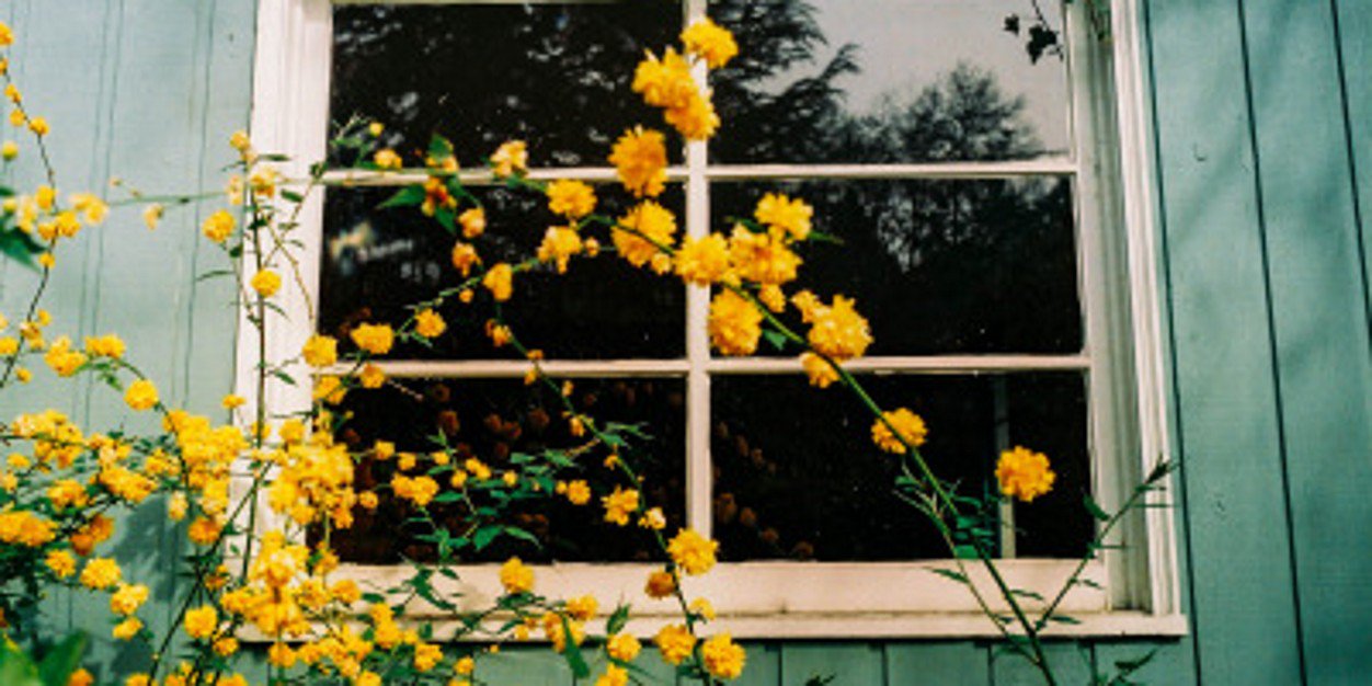 cavalcantz's profile banner image