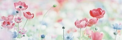 n_n_aaan's profile banner image