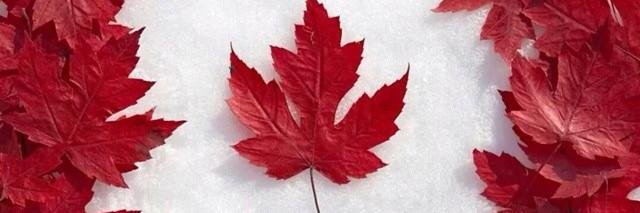 Jaclyn LaBerge (she/her) banner