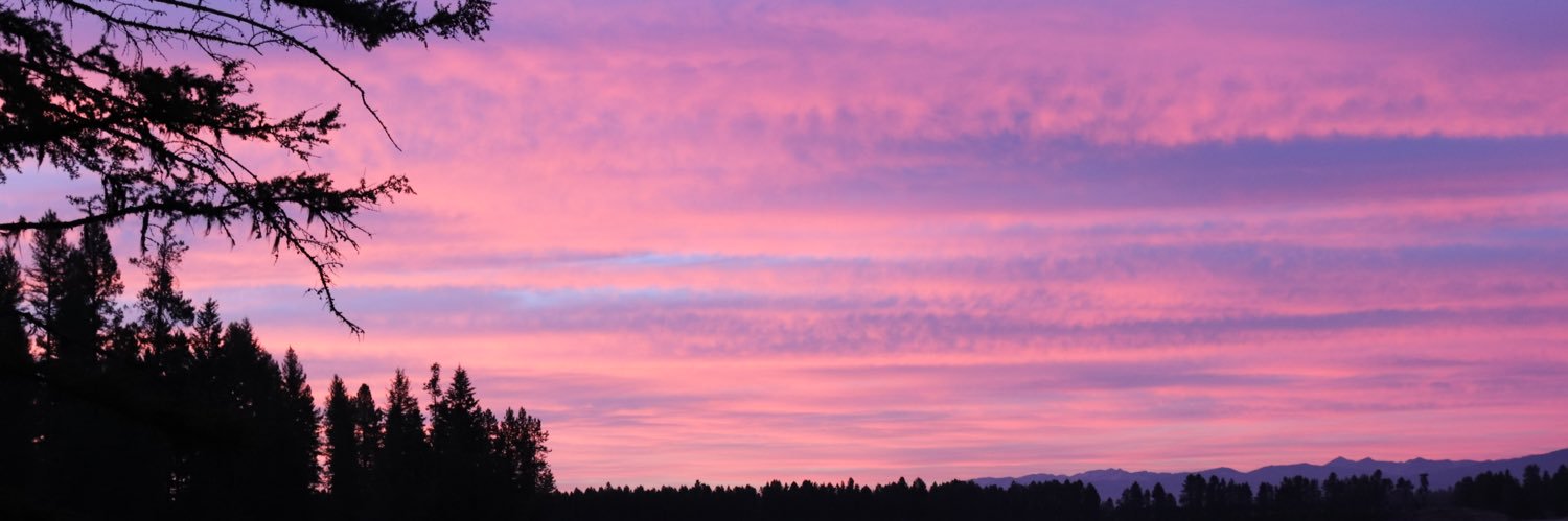 TylerTheHill's profile banner image