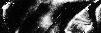 lilgihoe's profile banner image