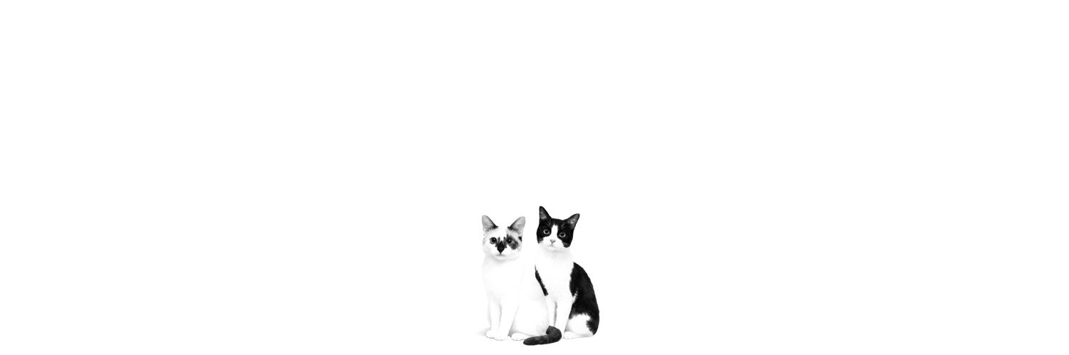 ¨̮ banner