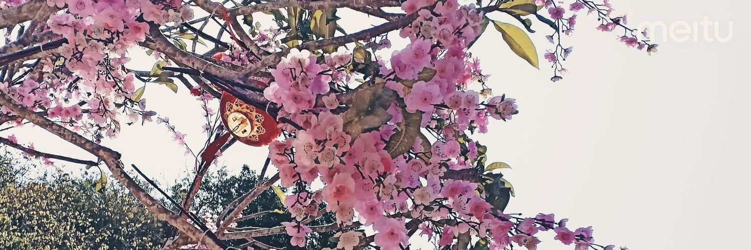 MarkRen9397's profile banner image