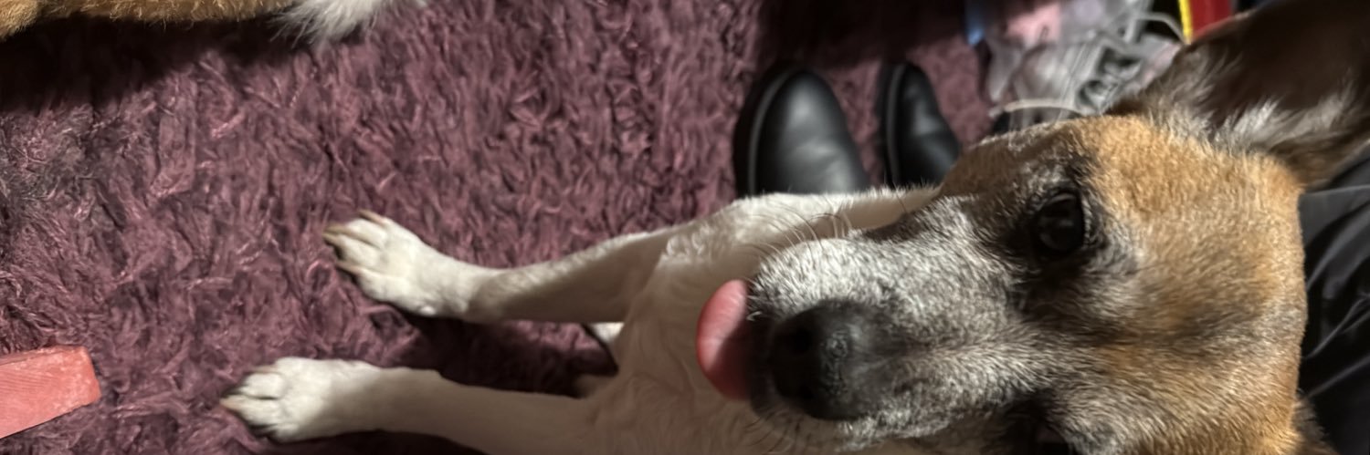 ChipFatSkitt's profile banner image