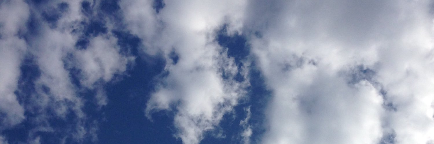 ATorchOfLight's profile banner image