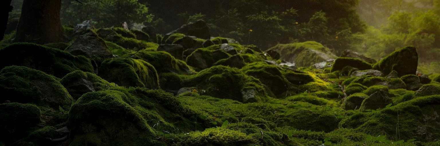 farshrajabian's profile banner image