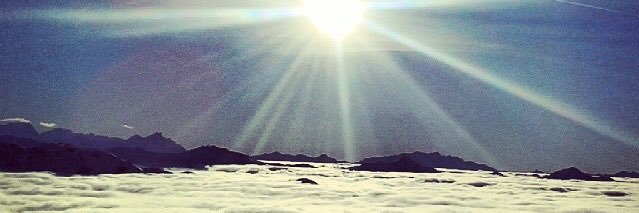 Christophe Pleynet banner