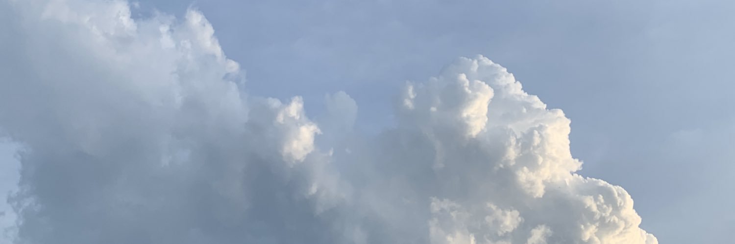 stephsaigh's profile banner image