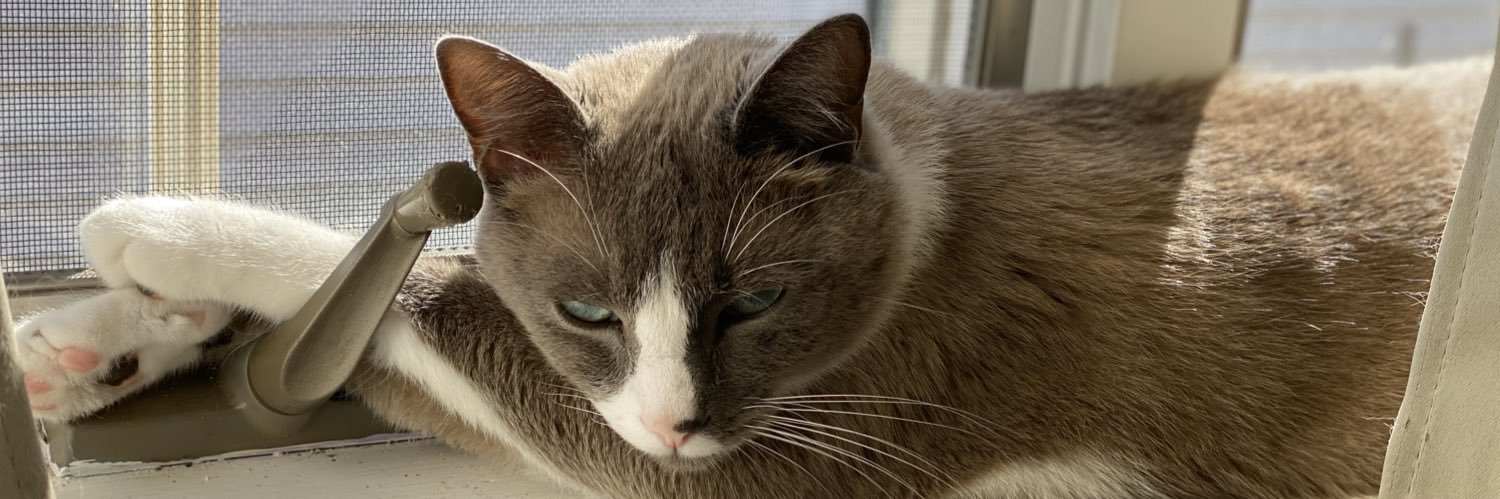 TBDylan's profile banner image