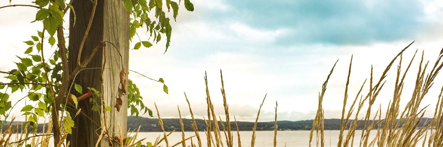 nanyrosso2's profile banner image