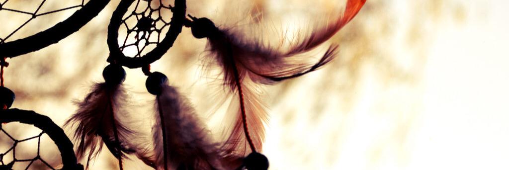 Randi_Allen22's profile banner image