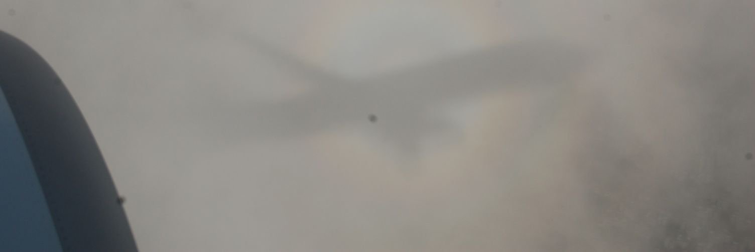 orsela's profile banner image