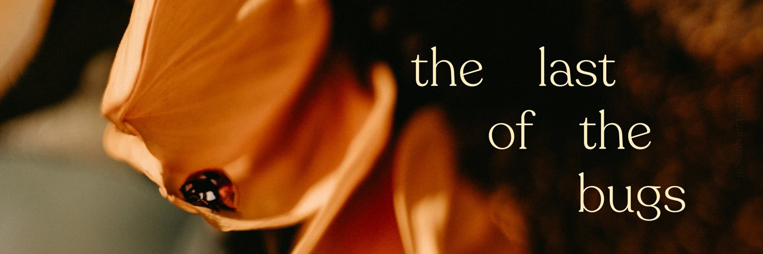 _lastofthebugs_'s profile banner image