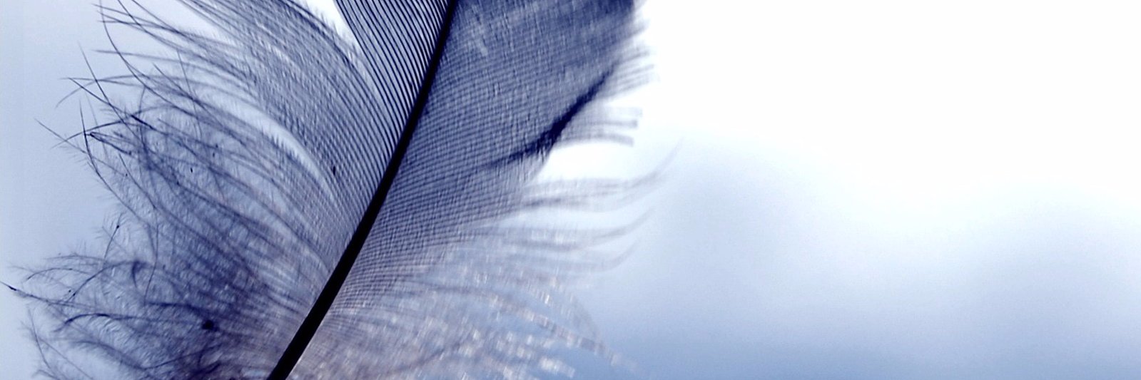 Dissappear1854's profile banner image